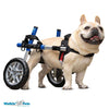 Walkin Wheels® SMALL Rear Dog Wheelchair Dog Wheelchairs Walkin Wheels Silver Circle Pets 