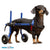 Walkin’ Wheels DACHSHUND Wheelchair, Silver Circle Pets, Dog Wheel Chair, Walkin Wheels, 