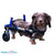 Walkin’ Wheels DACHSHUND Wheelchair, Silver Circle Pets, Dog Wheel Chair, Walkin Wheels, 