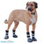 Walkin’ Wheels - Dog Boots, Silver Circle Pets, Dog Boots, Walkin Wheels, 