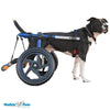 Walkin’ Wheels - Dog Boots and Stirrup Kit Dog Boots Walkin Wheels Silver Circle Pets 