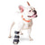 Walkin’ Wheels - Front Carpal Pet Splint, Silver Circle Pets, Dog Splint, Walkin Wheels, 