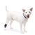 Walkin’ Wheels - Hock Dog Wrap (Rear Only), Silver Circle Pets, Dog Splint, Walkin Wheels, 