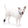 Walkin’ Wheels - Hock Dog Wrap (Rear Only) Dog Splint Walkin Wheels Silver Circle Pets 