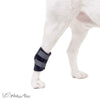 Walkin’ Wheels - Hock Dog Wrap (Rear Only) Dog Splint Walkin Wheels Silver Circle Pets 