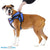 Walkin’ Wheels - Lift Combo Dog Harness – Front, Silver Circle Pets, Dog Harness, Walkin Wheels, 