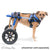 Walkin’ Wheels - Lift Combo Dog Harness – Front & Rear, Silver Circle Pets, Dog Harness, Walkin Wheels, 