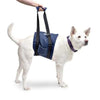 Walkin’ Wheels - Support Dog Sling Dog Harness Walkin Wheels Silver Circle Pets 