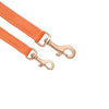 William Walker Dog Leash Amber Pet Leashes William Walker Silver Circle Pets 