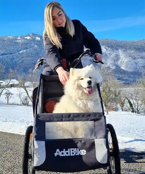 AddBike Carry'Dog Kit | Front Dog Bike Trailer-Pet Strollers-AddBike- Silver Circle Pets