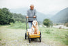 AirBuggy Cube Carriage Pet Cart | Integrated Ramp | Modular Roof-Pet Stroller-AirBuggy- Silver Circle Pets