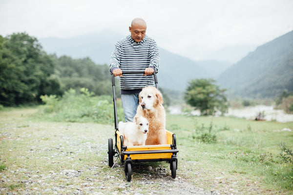 AirBuggy Cube Carriage Pet Cart | Integrated Ramp | Modular Roof-Pet Stroller-AirBuggy- Silver Circle Pets
