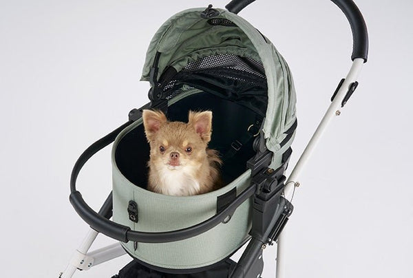 AirBuggy DOME 3 Small Cot | For Small Dogs & Small Animals-Pet Stroller Accessory-AirBuggy- Silver Circle Pets
