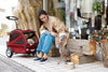 AirBuggy Twinkle Pet Stroller | Ground-Level Entry-Pet Stroller-AirBuggy- Silver Circle Pets