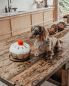 By Teddy Cherry Bakewell Tart Dog Toy