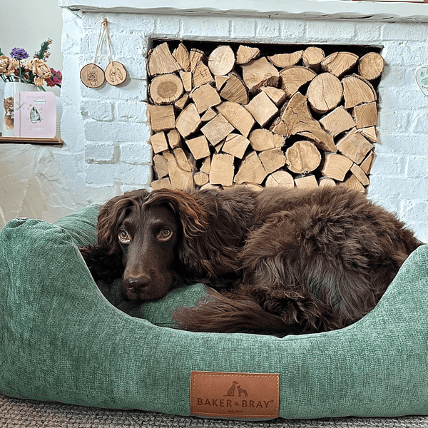 Baker & Bray Eco Luxe Orthopaedic Luxury Dog Bed-Dog Beds-Barker & Bray- Silver Circle Pets