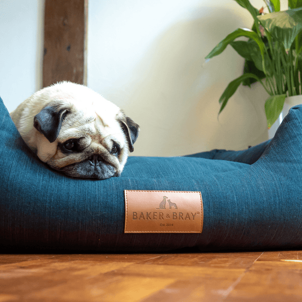 Baker & Bray Eco Luxe Orthopaedic Luxury Dog Bed-Dog Beds-Barker & Bray- Silver Circle Pets