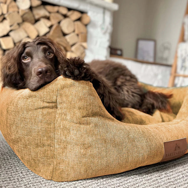 Baker & Bray Eco Luxe Orthopaedic Luxury Dog Bed-Dog Beds-Barker & Bray- Silver Circle Pets