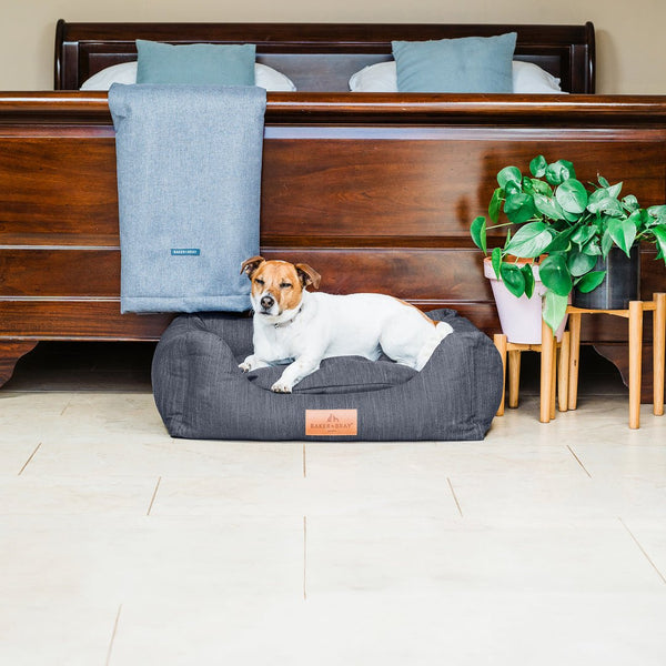 Baker & Bray Eco Luxe Orthopaedic Luxury Dog Bed-Dog Beds-Barker & Bray- Silver Circle Pets