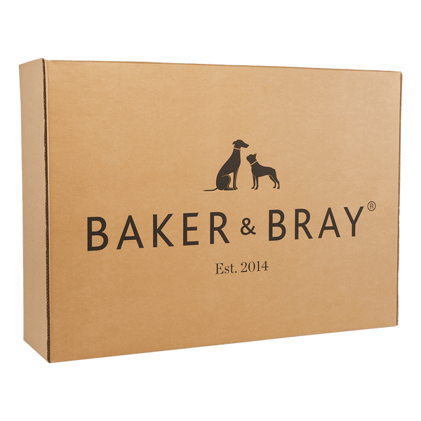 Baker & Bray Eco Luxe Orthopaedic Luxury Dog Bed-Dog Beds-Barker & Bray- Silver Circle Pets