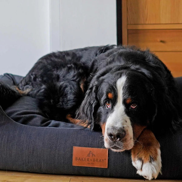 Baker & Bray Eco Luxe Orthopaedic Luxury Dog Bed-Dog Beds-Barker & Bray- Silver Circle Pets