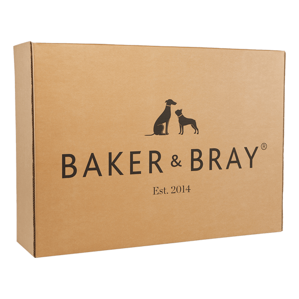 Baker & Bray Eco Luxe Orthopaedic Luxury Dog Bed-Dog Beds-Barker & Bray- Silver Circle Pets