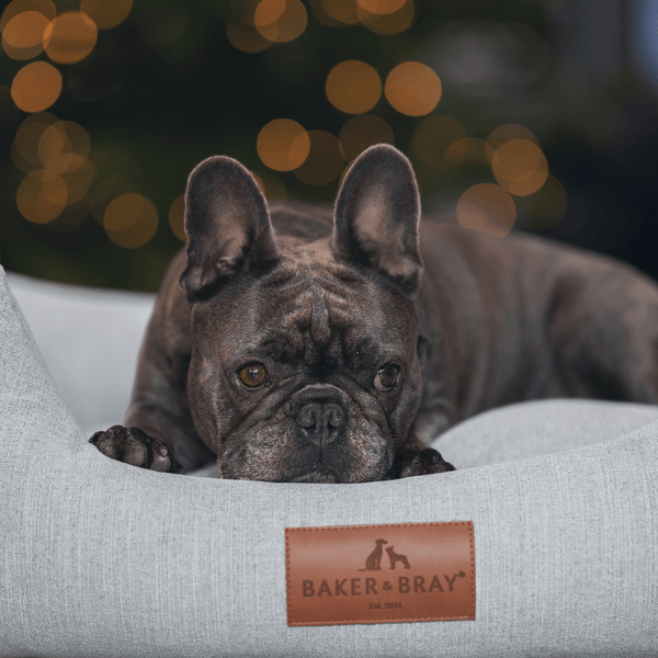 Baker & Bray Eco Luxe Orthopaedic Luxury Dog Bed-Dog Beds-Barker & Bray- Silver Circle Pets