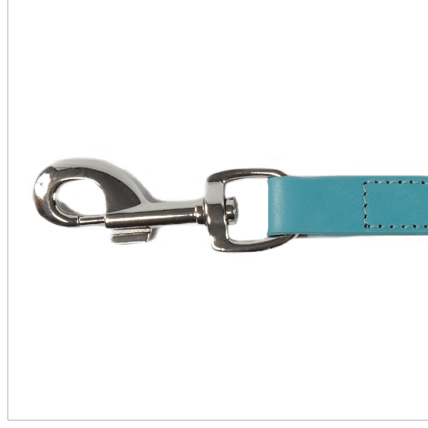 Baker & Bray Sustainable Designer Leather Dog Lead | Lagoon-Dog Leash-Baker & Bray- Silver Circle Pets