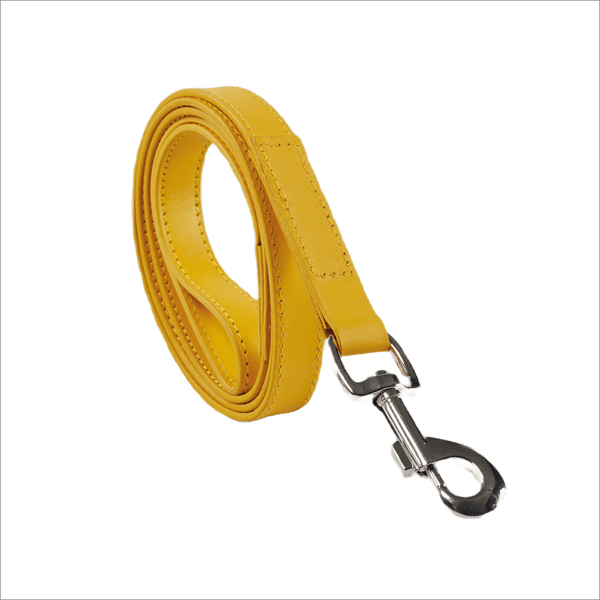 Baker & Bray Sustainable Designer Leather Dog Lead | Lemon-Dog Leash-Baker & Bray- Silver Circle Pets
