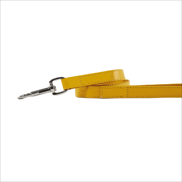 Baker & Bray Sustainable Designer Leather Dog Lead | Lemon-Dog Leash-Baker & Bray- Silver Circle Pets