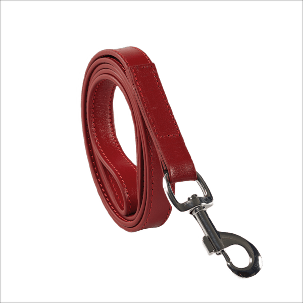 Baker & Bray Sustainable Designer Leather Dog Lead | Rose-Dog Leash-Baker & Bray- Silver Circle Pets