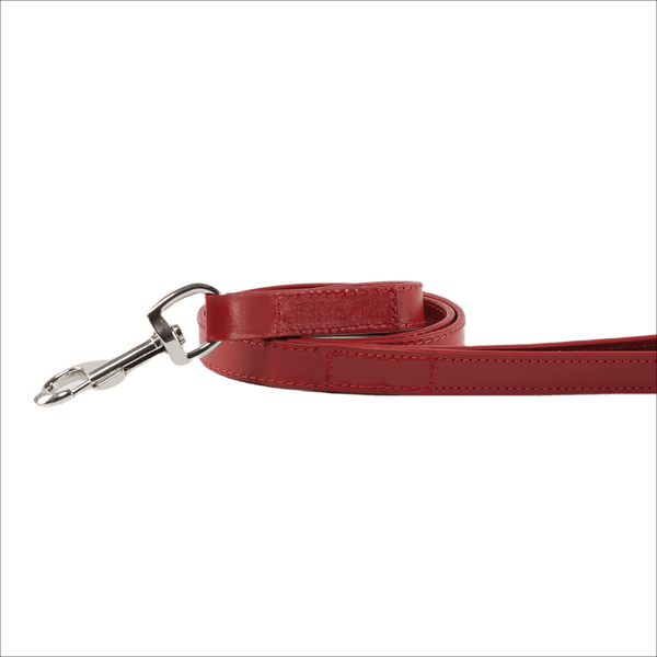Baker & Bray Sustainable Designer Leather Dog Lead | Rose-Dog Leash-Baker & Bray- Silver Circle Pets