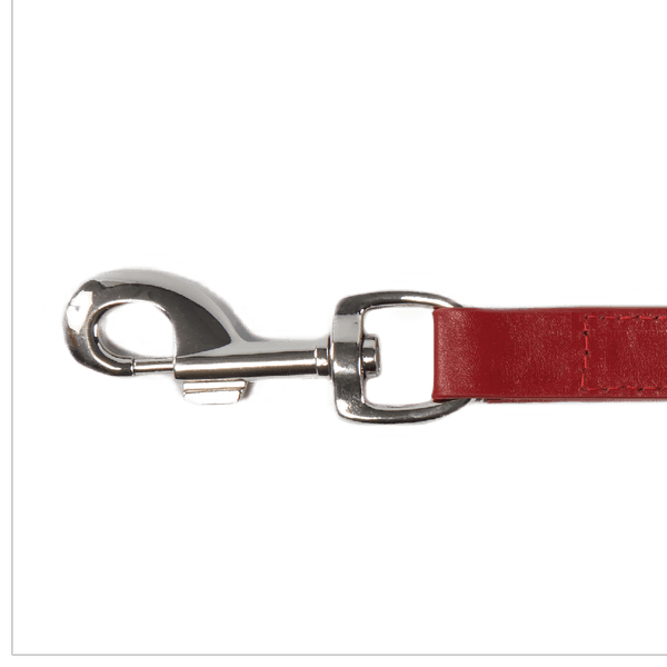Baker & Bray Sustainable Designer Leather Dog Lead | Rose-Dog Leash-Baker & Bray- Silver Circle Pets