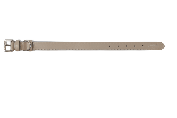 Baker & Bray Sustainable Leather Dog Collar | Ash-Dog Collar-Baker & Bray- Silver Circle Pets