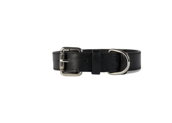 Baker & Bray Sustainable Leather Dog Collar | Black-Dog Collar-Baker & Bray- Silver Circle Pets