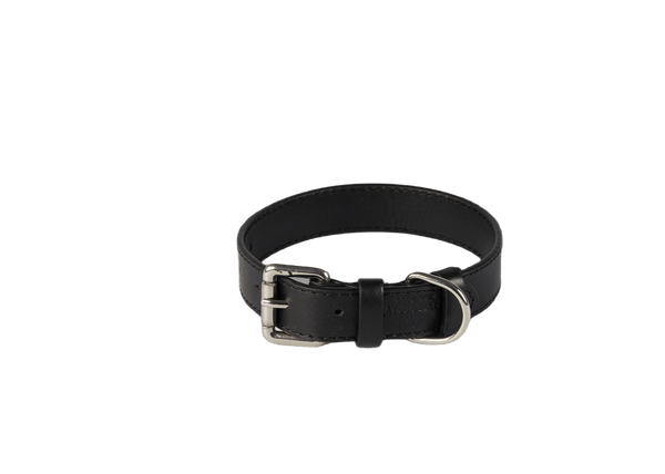 Baker & Bray Sustainable Leather Dog Collar | Black-Dog Collar-Baker & Bray- Silver Circle Pets