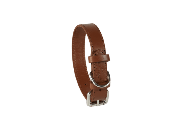Baker & Bray Sustainable Leather Dog Collar | Brown-Dog Collar-Baker & Bray- Silver Circle Pets