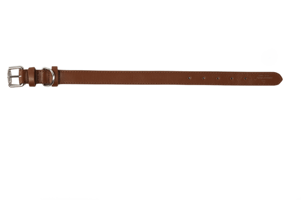 Baker & Bray Sustainable Leather Dog Collar | Brown-Dog Collar-Baker & Bray- Silver Circle Pets