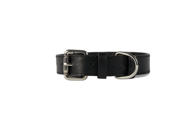 Baker & Bray Sustainable Leather Dog Collar & Lead Set | Black-Collar & Leash Set-Baker & Bray- Silver Circle Pets