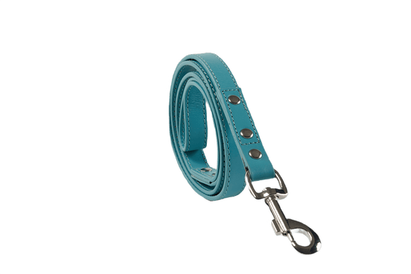 Baker & Bray Sustainable Leather Dog Collar & Lead Set | Lagoon-Collar & Leash Set-Baker & Bray- Silver Circle Pets