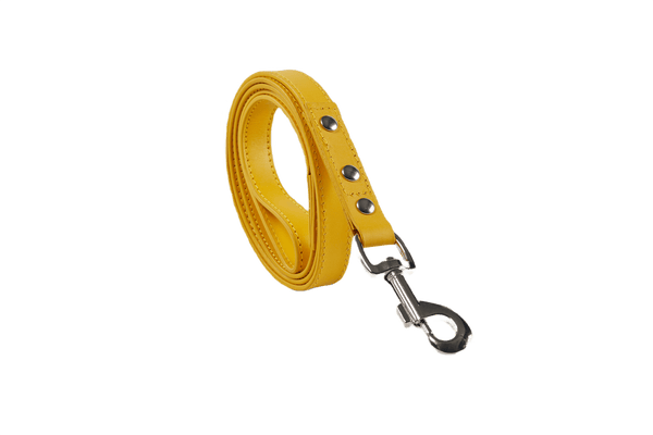 Baker & Bray Sustainable Leather Dog Collar & Lead Set | Lemon-Dog Collar & Lead-Baker & Bray- Silver Circle Pets