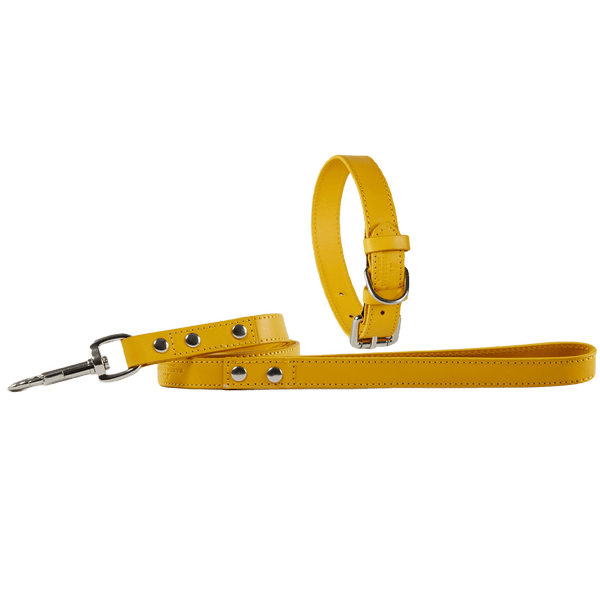 Baker & Bray Sustainable Leather Dog Collar & Lead Set | Lemon-Dog Collar & Lead-Baker & Bray- Silver Circle Pets