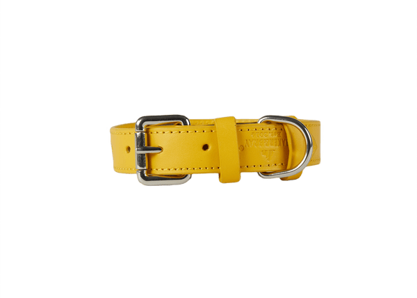 Baker & Bray Sustainable Leather Dog Collar & Lead Set | Lemon-Dog Collar & Lead-Baker & Bray- Silver Circle Pets