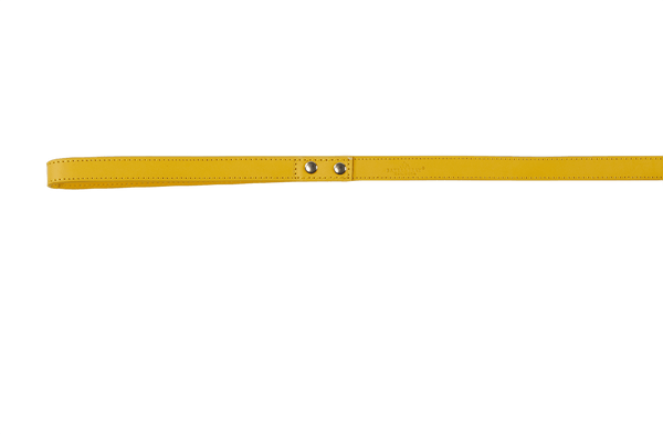 Baker & Bray Sustainable Leather Dog Collar & Lead Set | Lemon-Dog Collar & Lead-Baker & Bray- Silver Circle Pets
