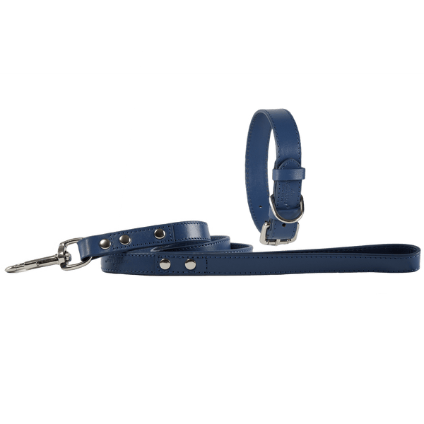 Baker & Bray Sustainable Leather Dog Collar & Lead Set | Navy-Dog Collar & Lead-Baker & Bray- Silver Circle Pets
