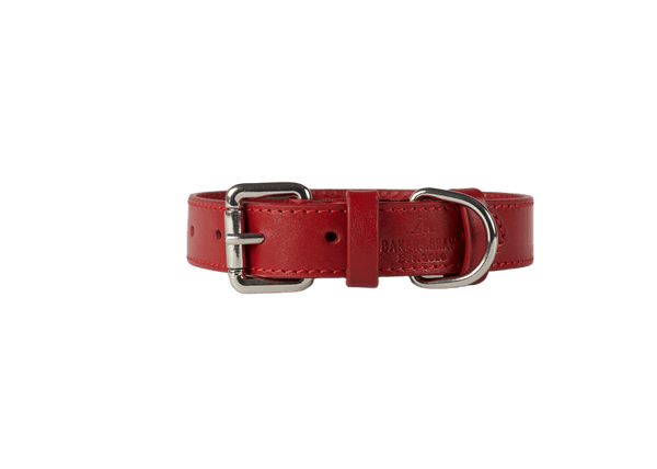 Baker & Bray Sustainable Leather Dog Collar & Lead Set | Rose-Dog Collar & Lead-Baker & Bray- Silver Circle Pets