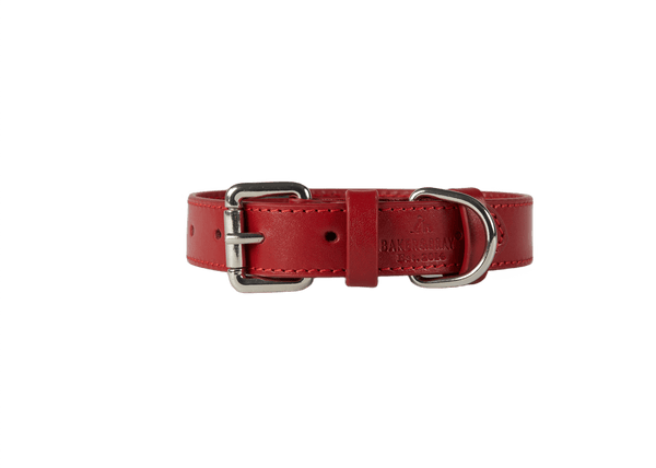 Baker & Bray Sustainable Leather Dog Collar | Rose-Collar-Baker & Bray- Silver Circle Pets