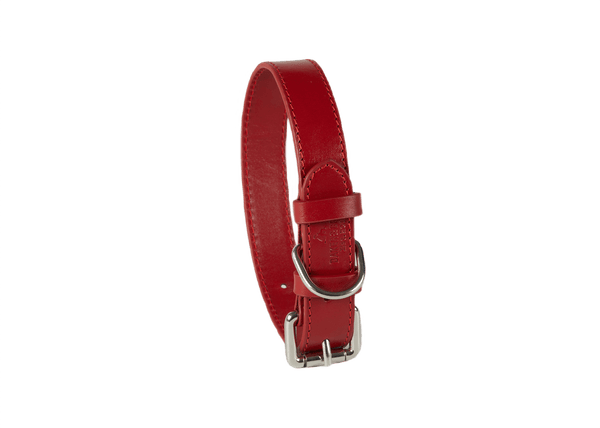 Baker & Bray Sustainable Leather Dog Collar | Rose-Collar-Baker & Bray- Silver Circle Pets