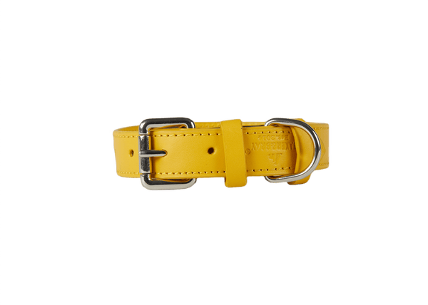 Barker & Bray Sustainable Leather Dog Collar | Lemon-Dog Collar-Barker & Bray- Silver Circle Pets