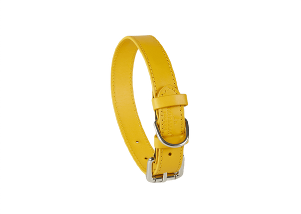 Barker & Bray Sustainable Leather Dog Collar | Lemon-Dog Collar-Barker & Bray- Silver Circle Pets